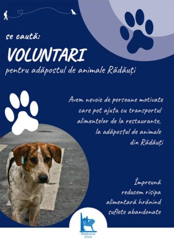 Proiect de reducere a risipei alimentare în Rădăuți, demarat de Asociația ”Rădăuțiul civic”