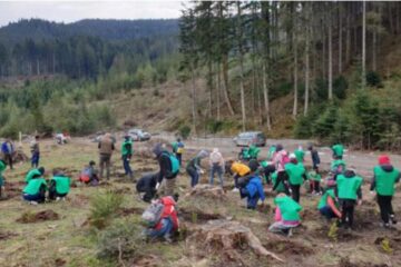 Proiectul are scopul de a promova educația pentru mediu