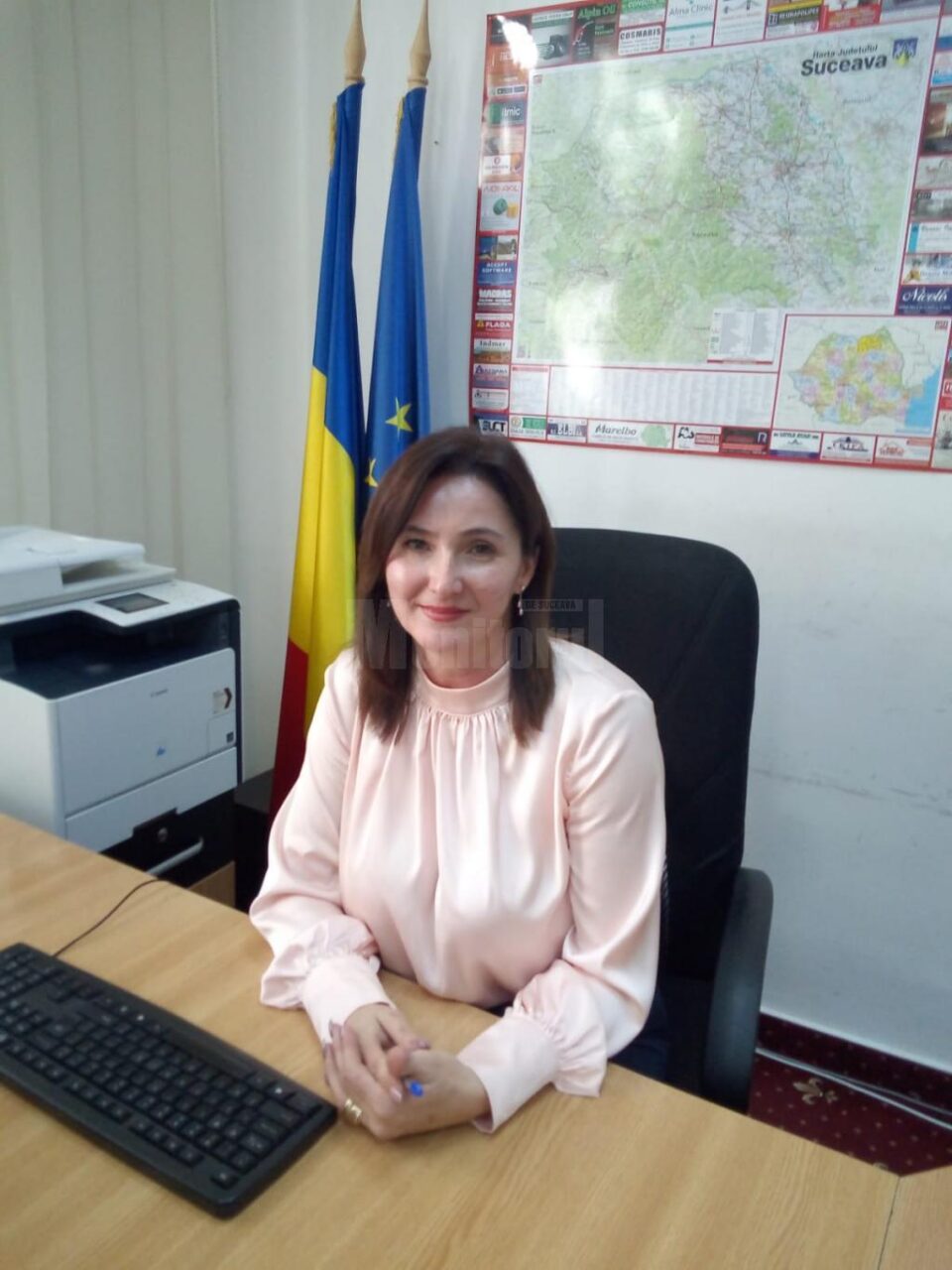 Directorul de cabinet al prefectului de Suceava este Diana Gășpărel