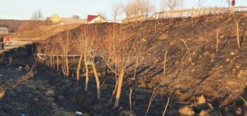 Un bătrân care a vrut să stingă un incendiu de vegetație a murit ars de viu