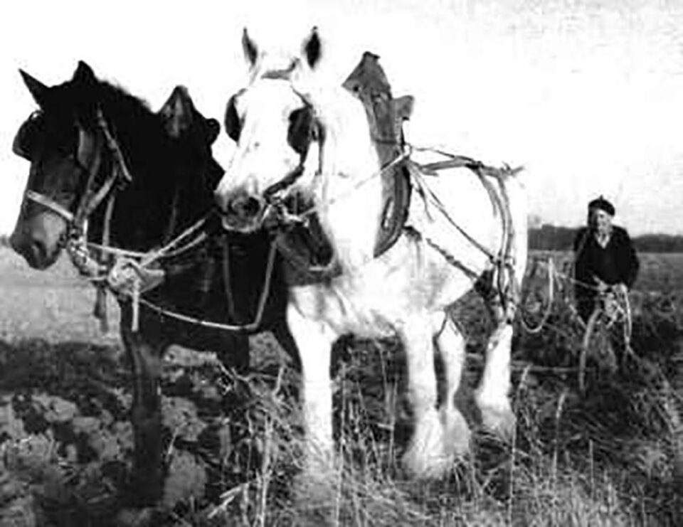 Lucrări agricole de primăvară