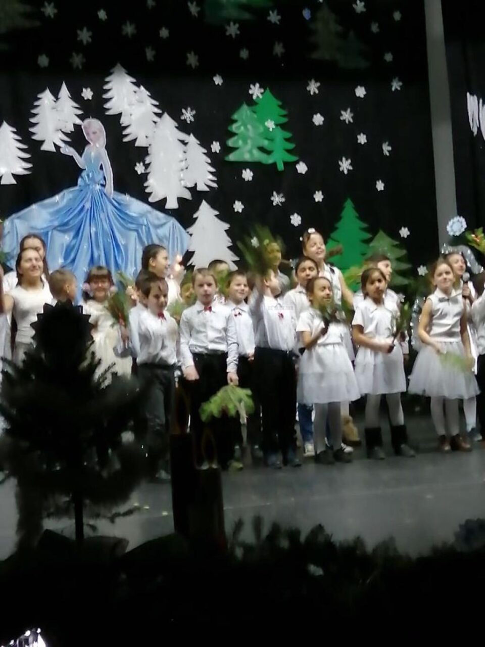 Proiect educativ „Vis de iarnă”, la Centrul Școlar de Educație Incluzivă Sf. Andrei