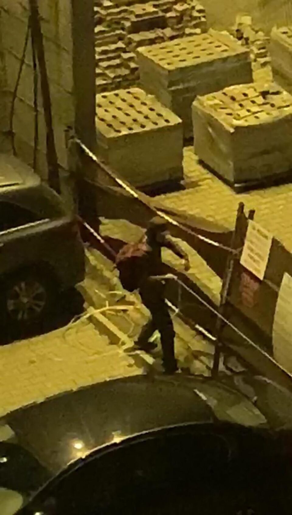 Hoț filmat în timp ce fura instalații luminoase pentru Crăciun de la blocurile noi de la Nordic