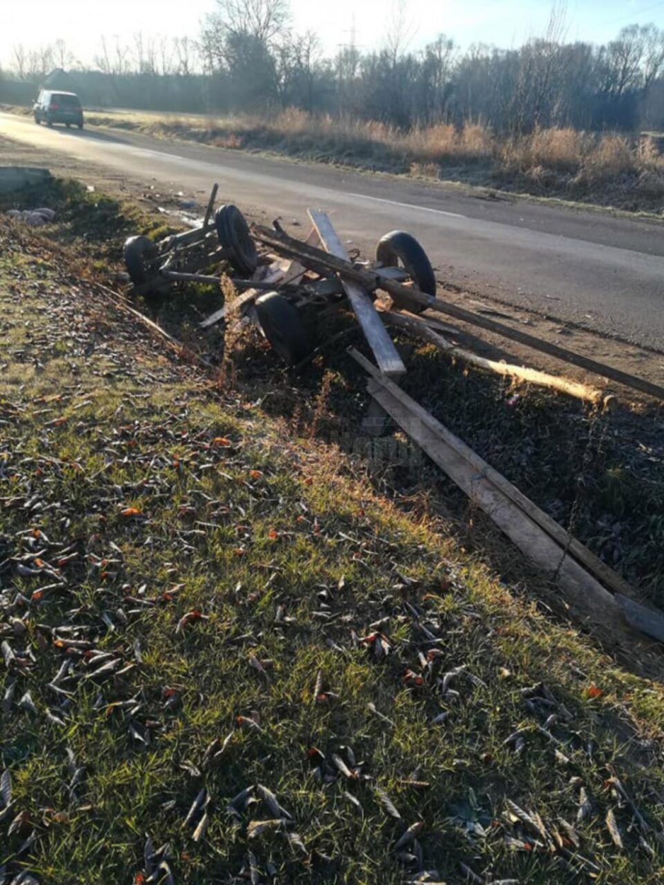 Căruța făcută praf în urma accidentului