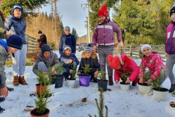 Elevi ai Școlii Gimnaziale „Ștefan cel Mare” Cârlibaba, la acțiunea "Un brăduț - un copil"