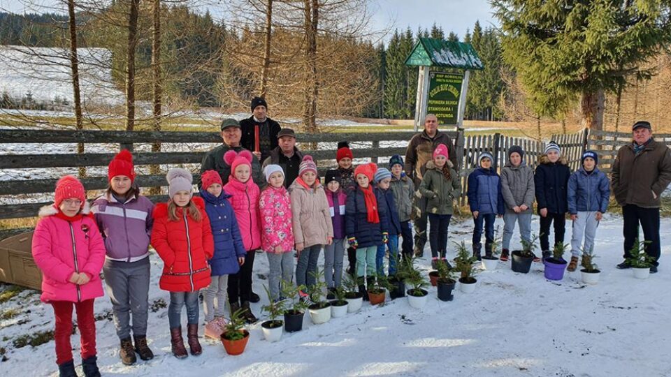 Puieți de molid, sădiți în ghivece de elevi, la Ocolul Silvic Cârlibaba