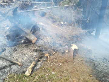 Peste o sută de oameni s-au chinuit să stingă un incendiu după ce un inconștient a aruncat un chiștoc de țigară aprins