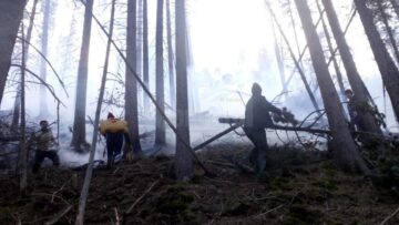 Peste o sută de oameni s-au chinuit să stingă un incendiu după ce un inconștient a aruncat un chiștoc de țigară aprins