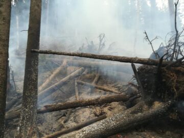 Peste o sută de oameni s-au chinuit să stingă un incendiu după ce un inconștient a aruncat un chiștoc de țigară aprins