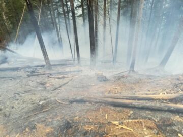 Intervenția a fost deosebit de grea