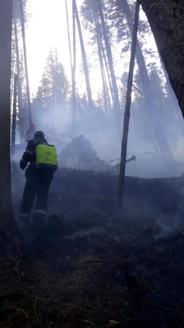 Peste o sută de oameni s-au chinuit să stingă un incendiu după ce un inconștient a aruncat un chiștoc de țigară aprins
