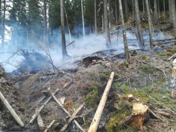 Peste o sută de oameni s-au chinuit să stingă un incendiu după ce un inconștient a aruncat un chiștoc de țigară aprins