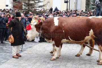 Cel mai mare Festivalul al Obiceiurilor de Iarnă din România a atras peste 10.000 de spectatori în centrul Sucevei