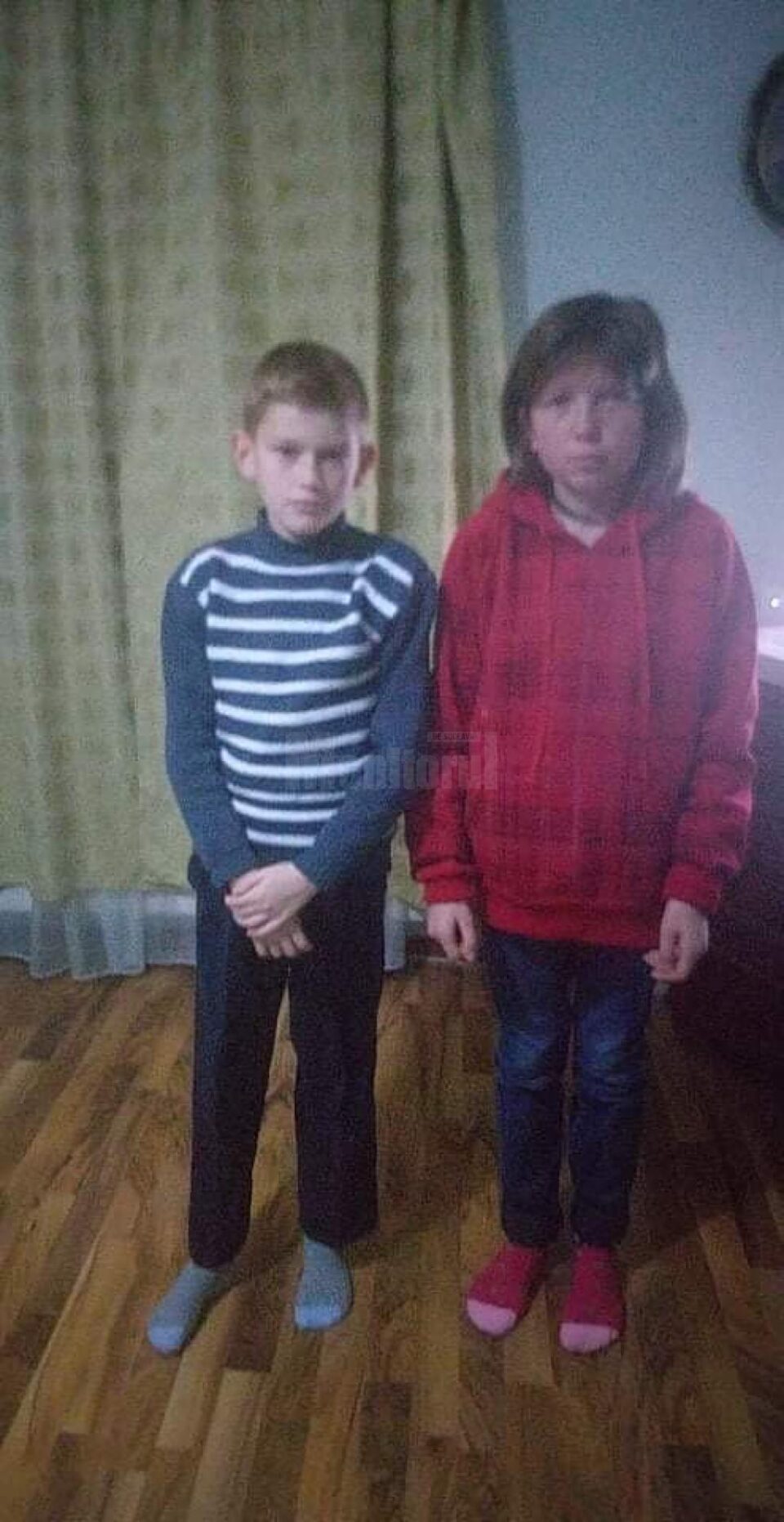 Cei doi copii minori