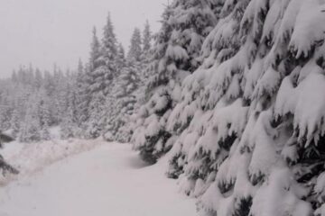 Zăpada viscolită din zona montană poate produce avalanșe în orice moment