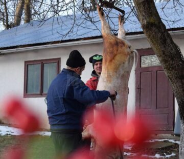 „Pomana porcului” pentru 75 de „bunici” de la Căminul pentru Persoane Vârstnice Solca