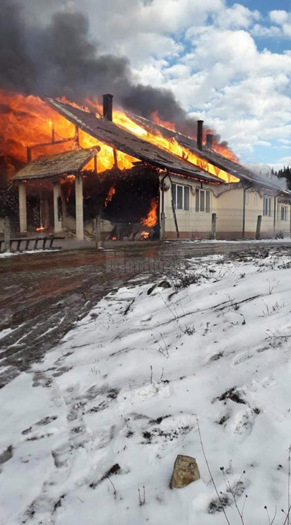 Căminul cultural, în care se aflau școala și grădinița din Dornișoara, distrus de un incendiu