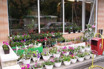 „O florărie la Suceava”