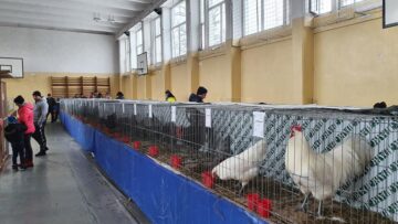 Expoziție cu aproape 400 de păsări și mamifere mici de curte, organizată la Colegiului Tehnic „Petru Mușat” Suceava