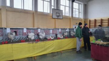 Expoziție cu aproape 400 de păsări și mamifere mici de curte, organizată la Colegiului Tehnic „Petru Mușat” Suceava
