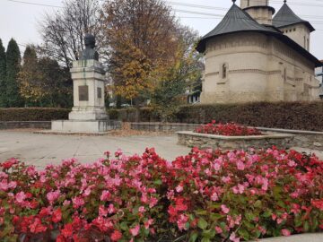 Suceava va fi și în 2020 un oraș al florilor