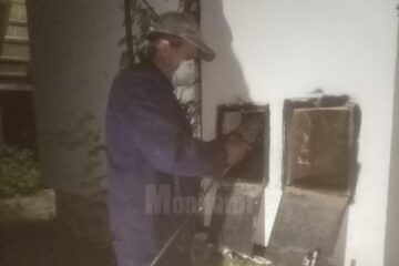 Hornari în acțiune