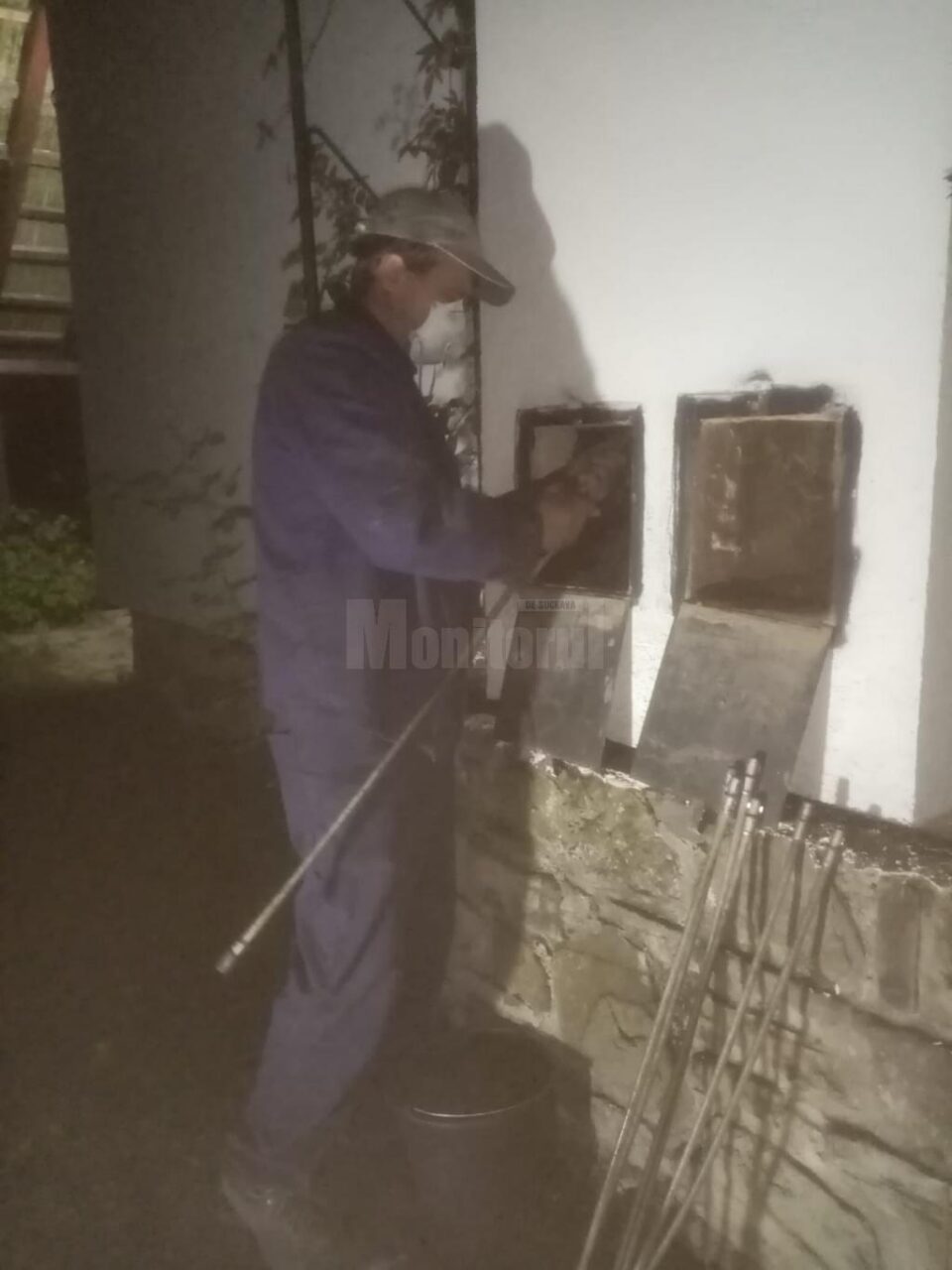 Hornari în acțiune