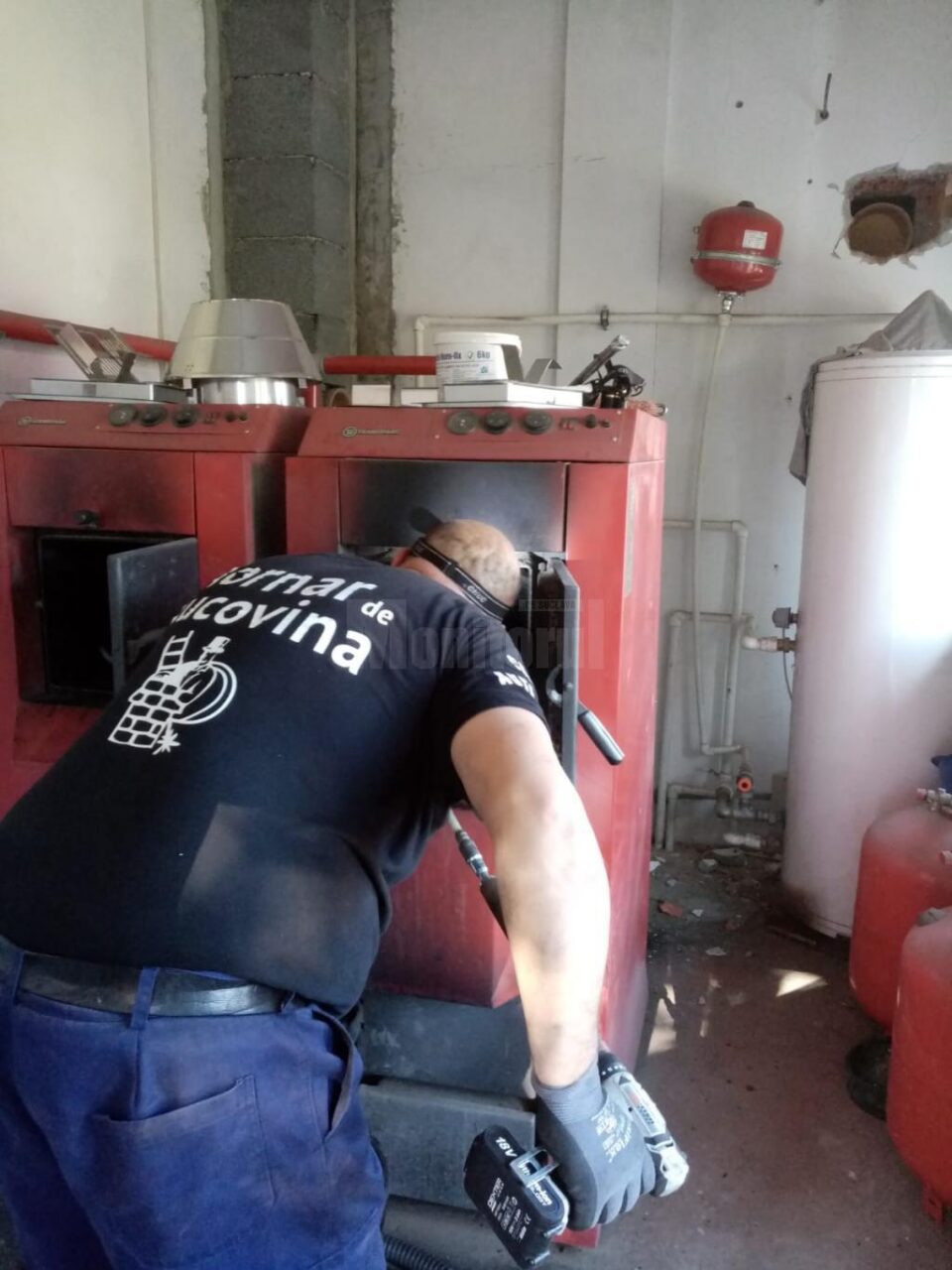Hornari în acțiune