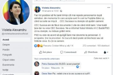 Ministrul Muncii, Violeta Alexandru – postarea de pe Facebook