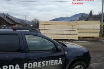 Control la firma fiului unui consilier de la Garda Forestieră Suceava, amendată pentru transport ilegal de cherestea