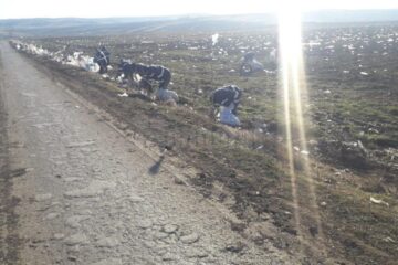 Câteva tone de deșeuri au acoperit câmpurile din jurul depozitului de la Moara