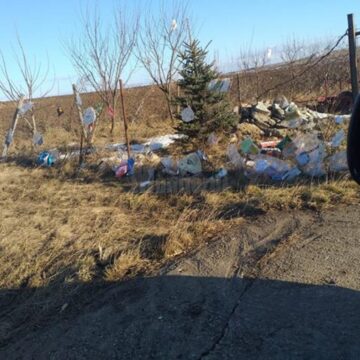 Garda de Mediu Suceava decide luni măsurile pe care le va lua în cazul gunoaielor luate de vânt de la depozitul ecologic de la Moara