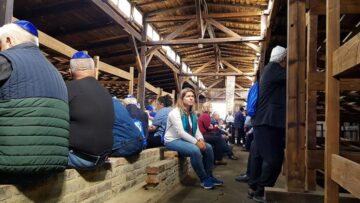 Rugăciune, în tăcere, în Baraca nr. 3 Birkenau - Shivah pentru cei ucisi în lagăr