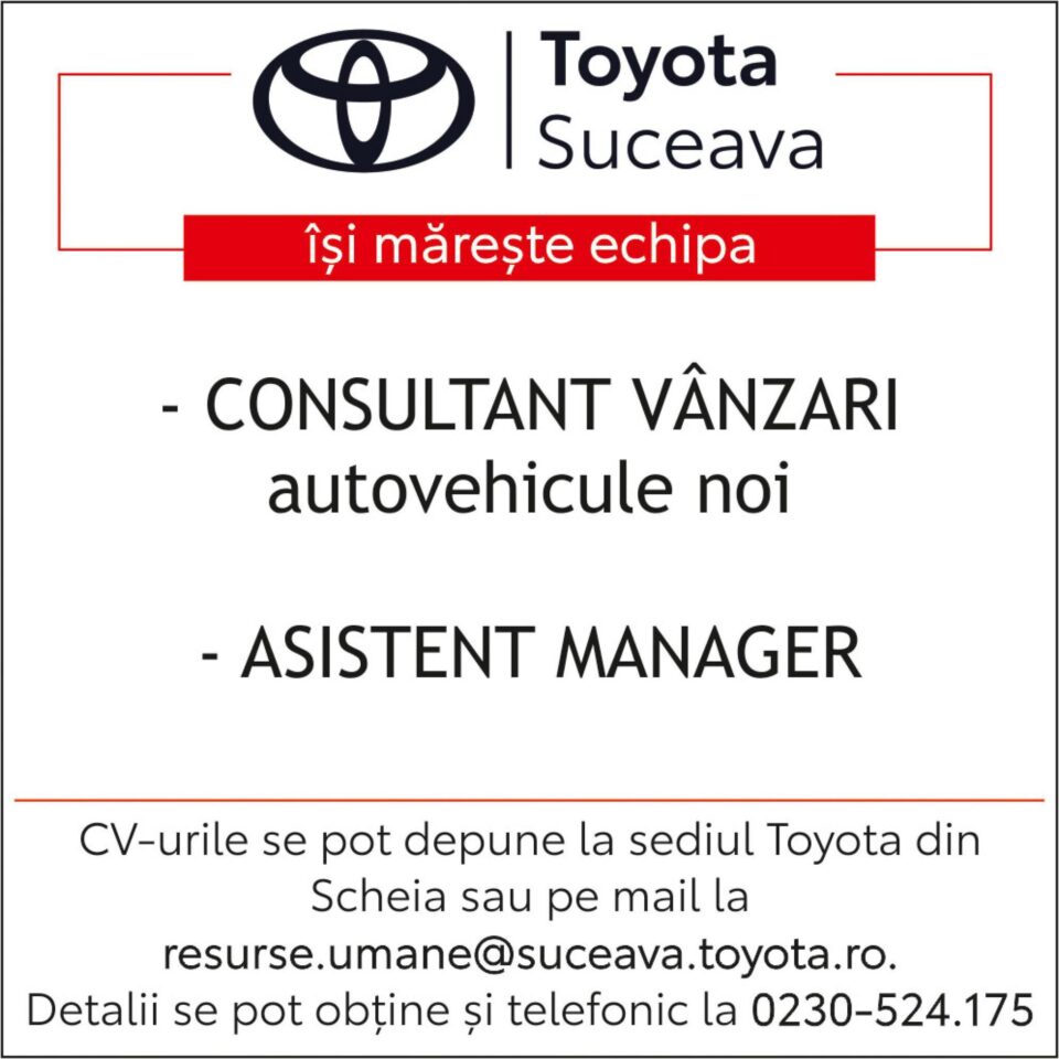 Angajare Toyota