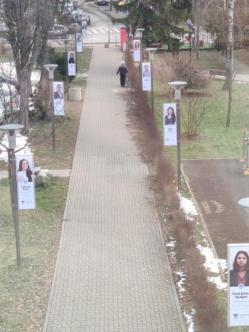 Cei mai merituoși studenți ai Universității, promovați pe ”Aleea șefilor de promoție”, din parcul instituției