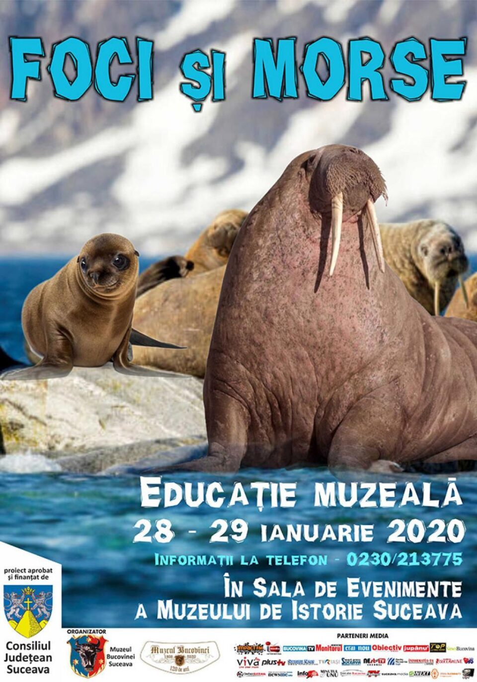 Lecție muzeală „Foci și morse”