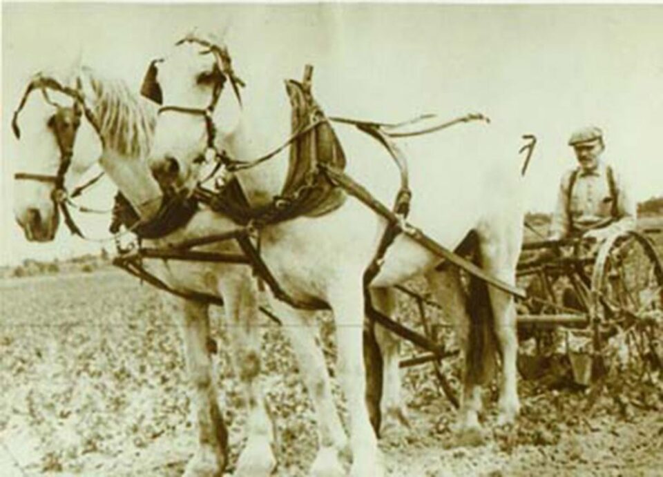 „Au dosit utilaj agricol”