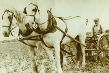 „Au dosit utilaj agricol”