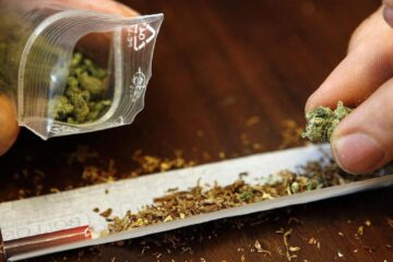 Polițiștii au găsit asupra tinerilor pliculețe cu substanțe vegetale și foițe pentru confecționarea țigaretelor Polițiștii au găsit asupra tinerilor pliculețe cu substanțe vegetale și foițe pentru confecționarea țigaretelor