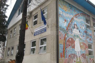 Protecția Copilului Suceava