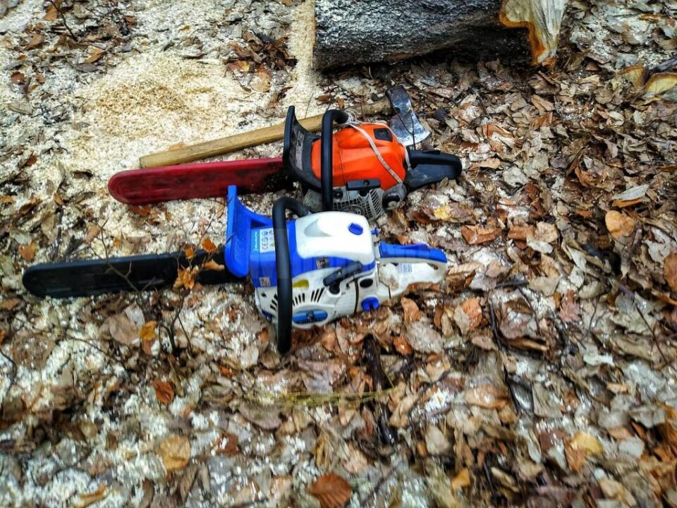 Drujbele și toporul