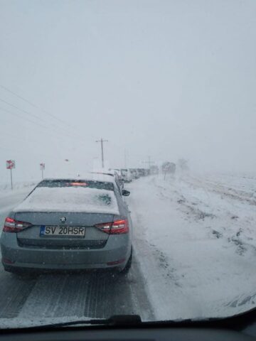 Copaci căzuți peste calea ferată, blocaje rutiere și circulație îngreunată, din cauza viscolului