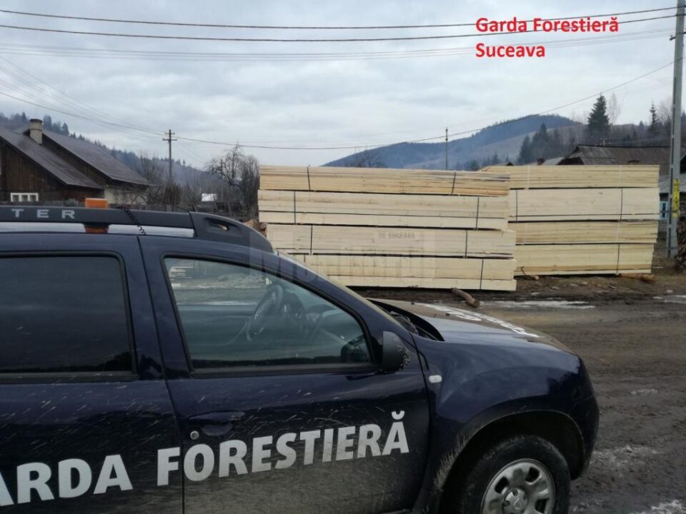 control garda forestiera control garda forestiera