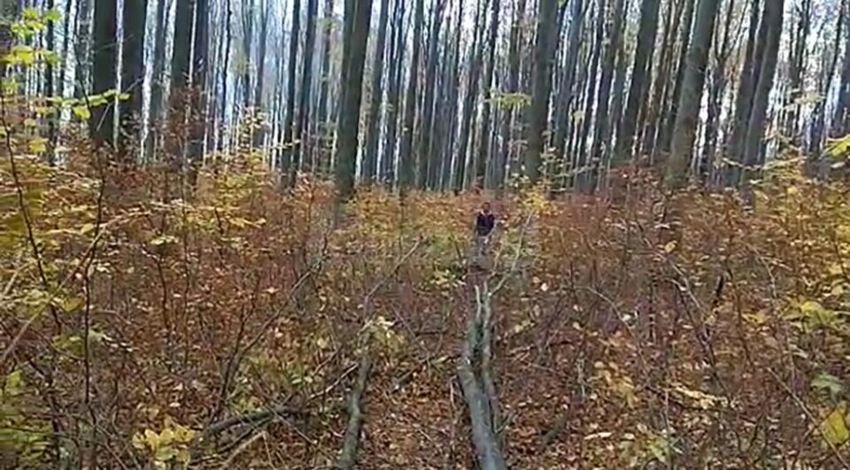 La pândă, în încercarea de a fura lemn
