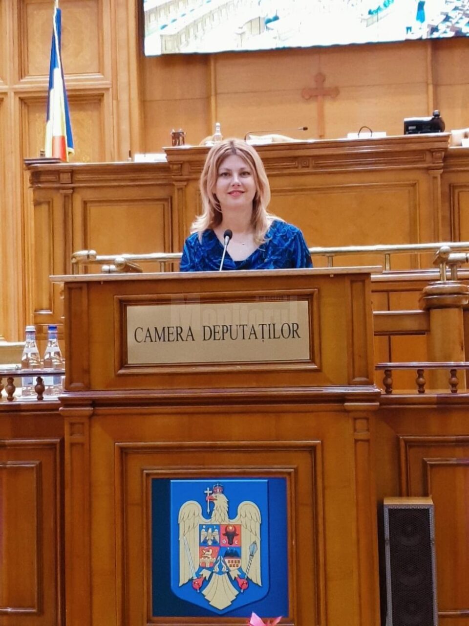 Deputatul PSD de Suceava Maricela Cobuz Deputatul PSD de Suceava Maricela Cobuz