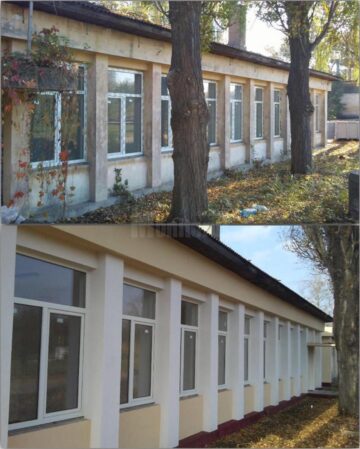 Aproape 5.000 de câini au fost strânși de pe străzile Sucevei în ultimii patru ani