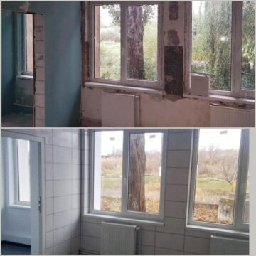 Aproape 5.000 de câini au fost strânși de pe străzile Sucevei în ultimii patru ani