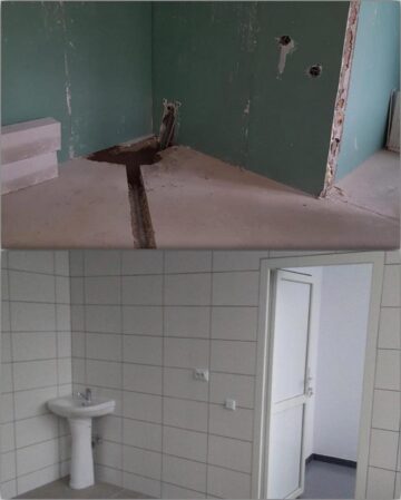 Aproape 5.000 de câini au fost strânși de pe străzile Sucevei în ultimii patru ani