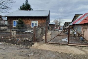 Casa mamei adolescentei batute, din Horodnic de Sus