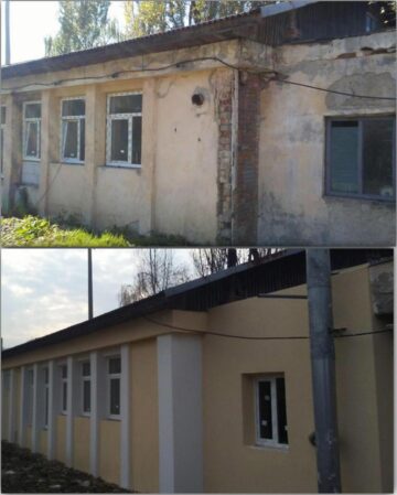 Aproape 5.000 de câini au fost strânși de pe străzile Sucevei în ultimii patru ani